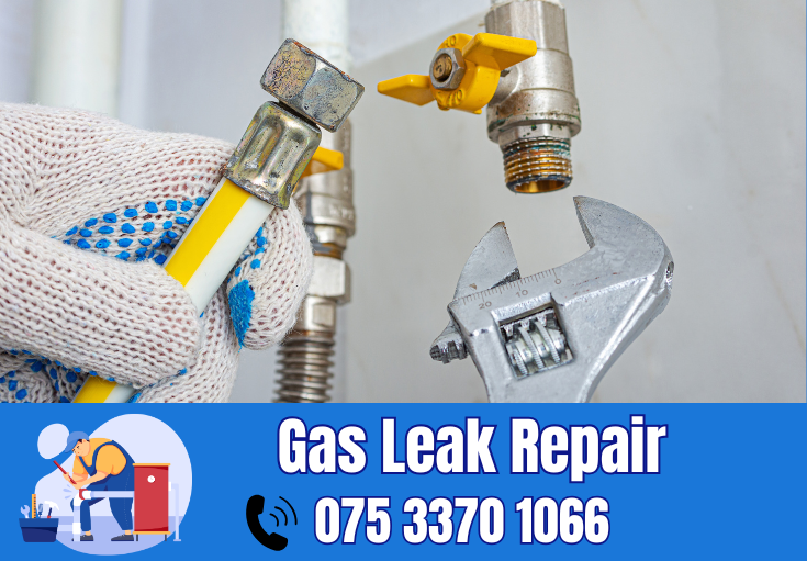 gas leak repair Cuxton